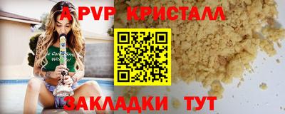 стаф Нальчик