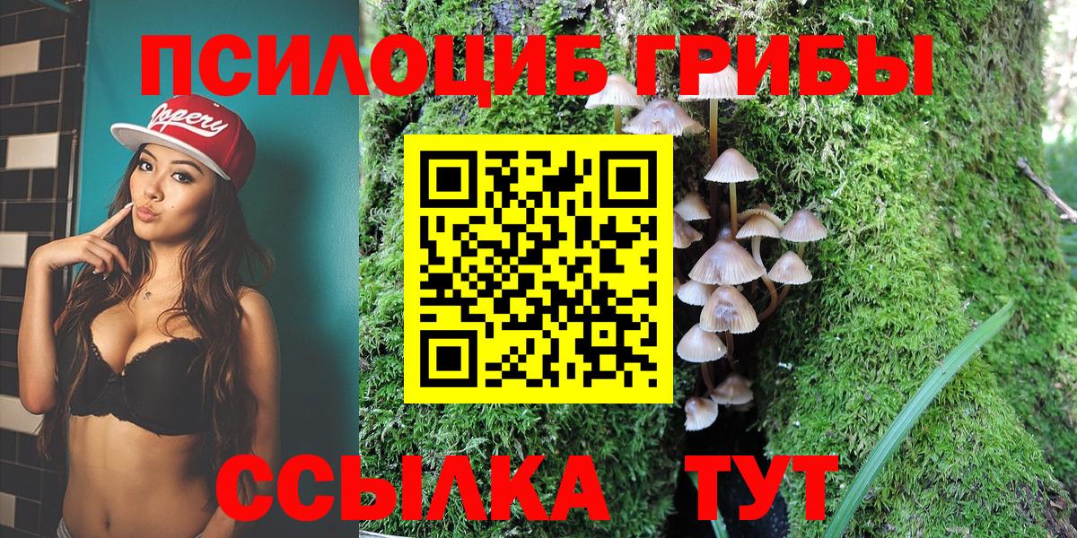 Псилоцибиновые грибы ЛСД  где купить наркоту  Сургут  Вход с VPN 
